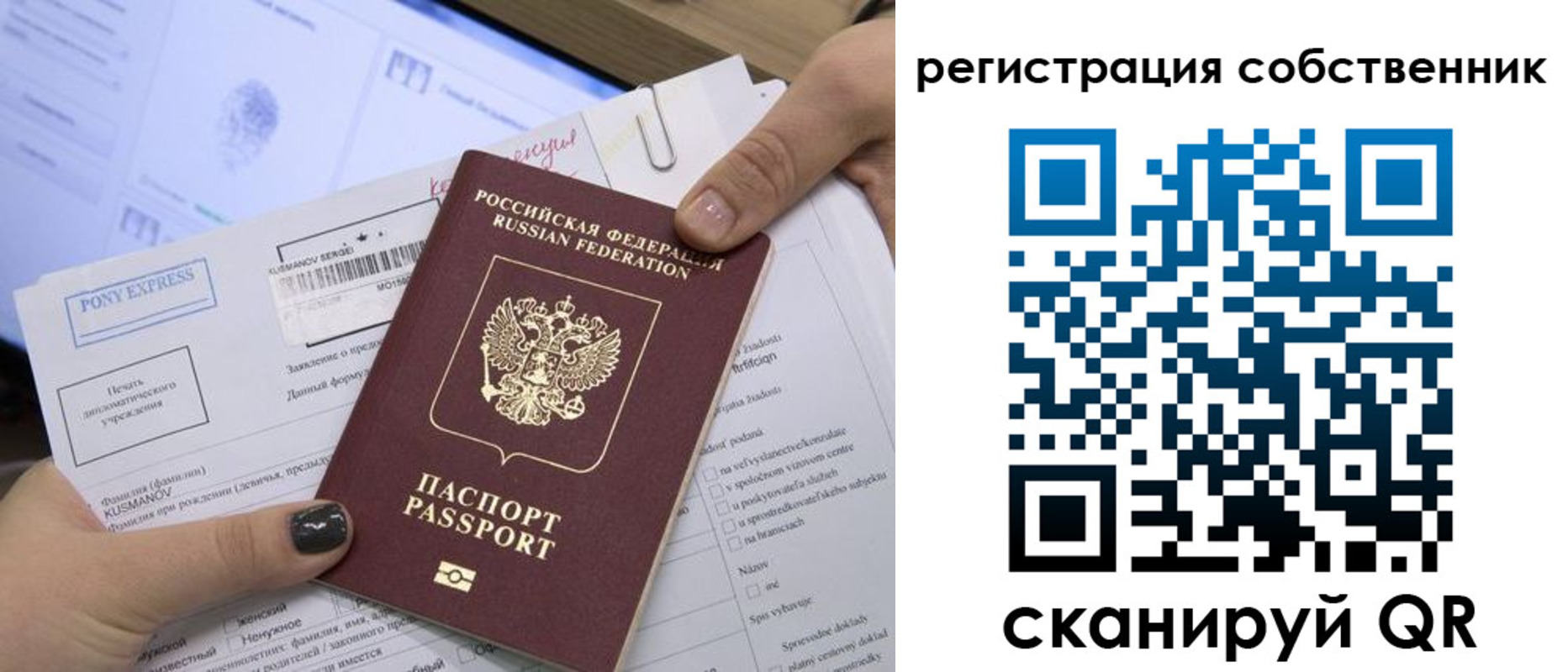 прописка поиск в Александрове